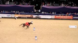 HOYS 2012 Session 3 Equimax Cup