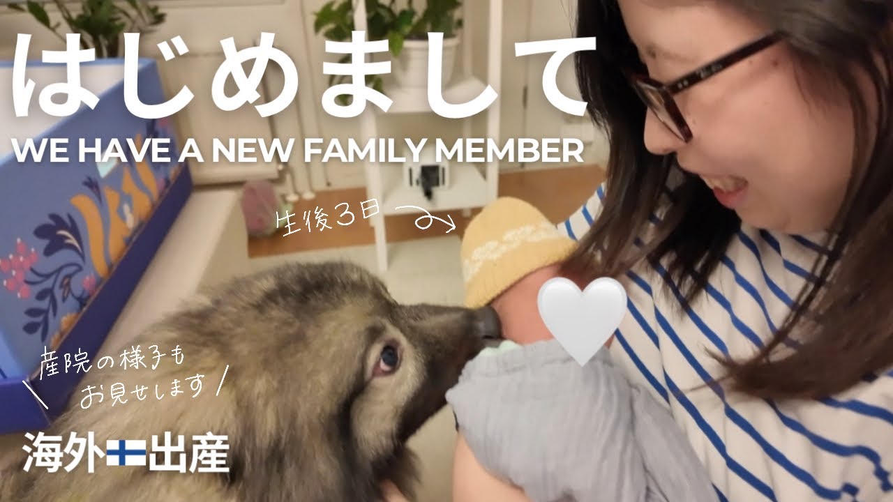 【海外出産】北欧フィンランドで出産→入院＆愛犬と赤ちゃんの対面🐶👶🏼