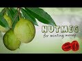 Nutmeg for Minting Money - English