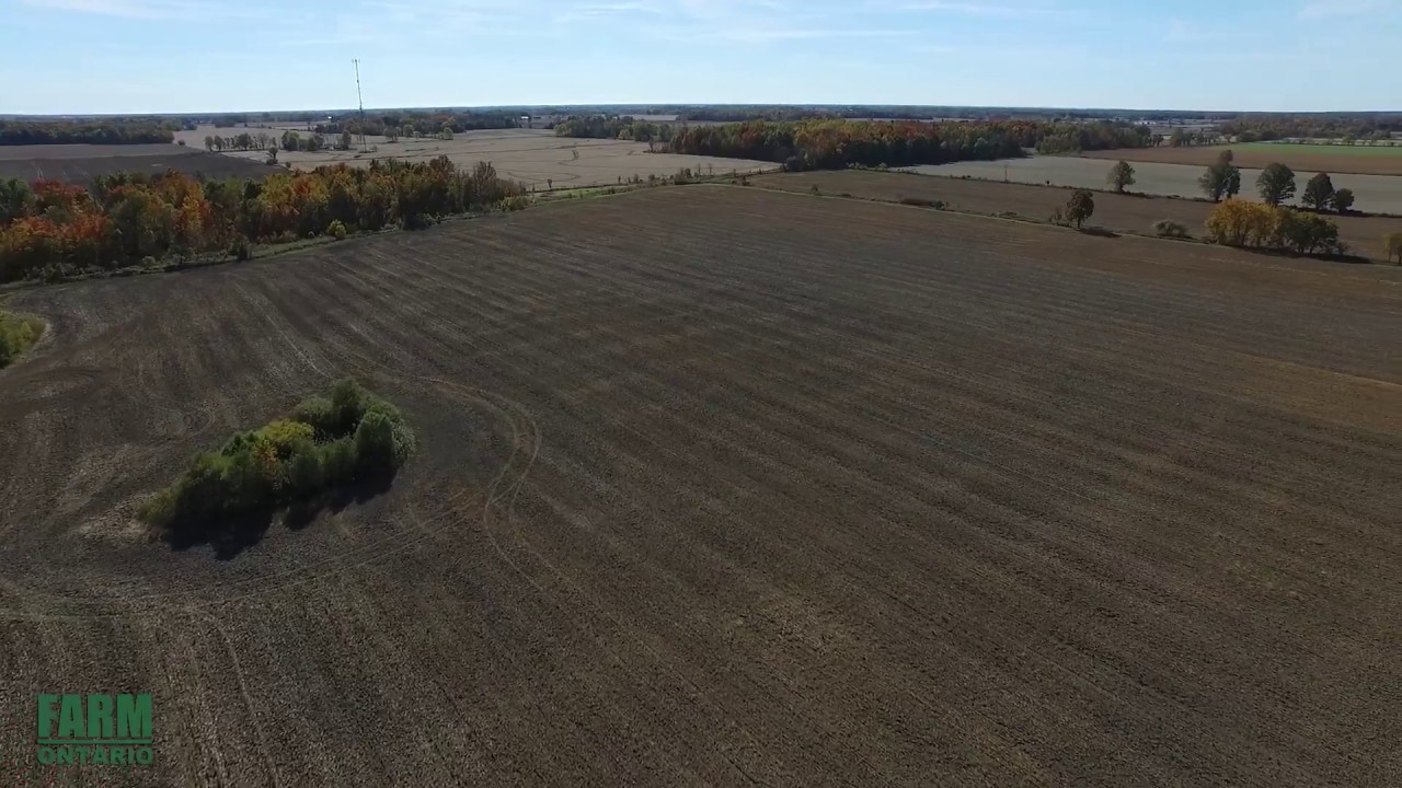 3459 Concession Rd GLENCOE (MLS#: LS592525)