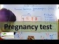 Pregnancy test