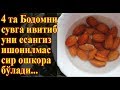 4 та Бодомни Кечаси Есанггиз Нима Булишини Биласизми?