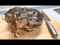 巨大生タラバの頭の丸ごとカニグラタン!!