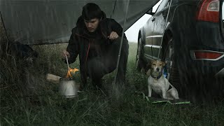 Rainy Solo Camping Adventure with my Canine Companion and Trusty Volvo XC70 by Volvo Camper Life 7,664 views 1 year ago 19 minutes