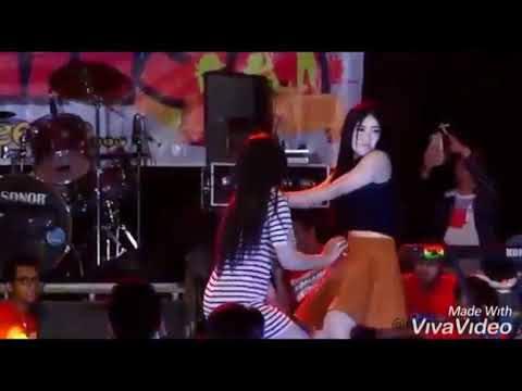 lily-alan-walker.story-wa-dangdut.-hot-lucu-terkeren-2019