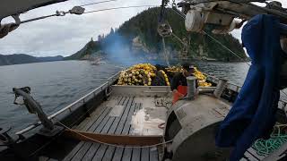 Alaska Commercial Salmon Fishing 2023 in 4K