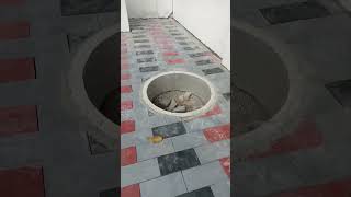Interlockblockheel Design Tiles #home #color #parking #design #tiles #vairal #video
