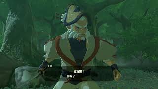 The Legend of Zelda - Breath of the Wild《薩爾達傳說 - 曠野之息》(22)