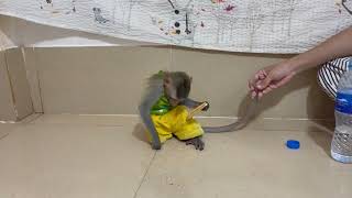 Dramma Koy Tiny Sit Upse..ing With Mom Adv..cee Her