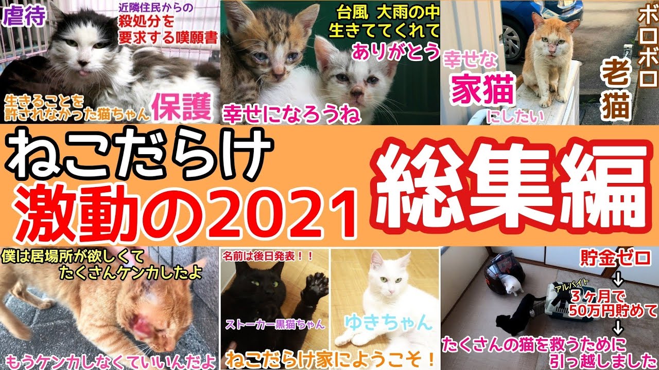 ねこだらけ激動の21年総集編 Youtube