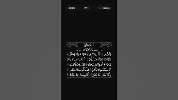 سورة الضحى بصوت الشيخ ماهر المعيقلي عام ١٤٤٥ هـ