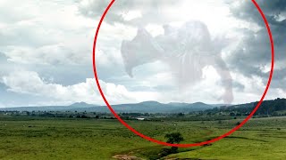 10 Giant Mysterious Creatures Caught on Camera by THE MAGNUM 852 views 2 months ago 8 minutes, 47 seconds