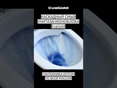 КАСКАДНЫЙ СМЫВ В УНИТАЗЕ-МОНОБЛОКЕ EvaGold