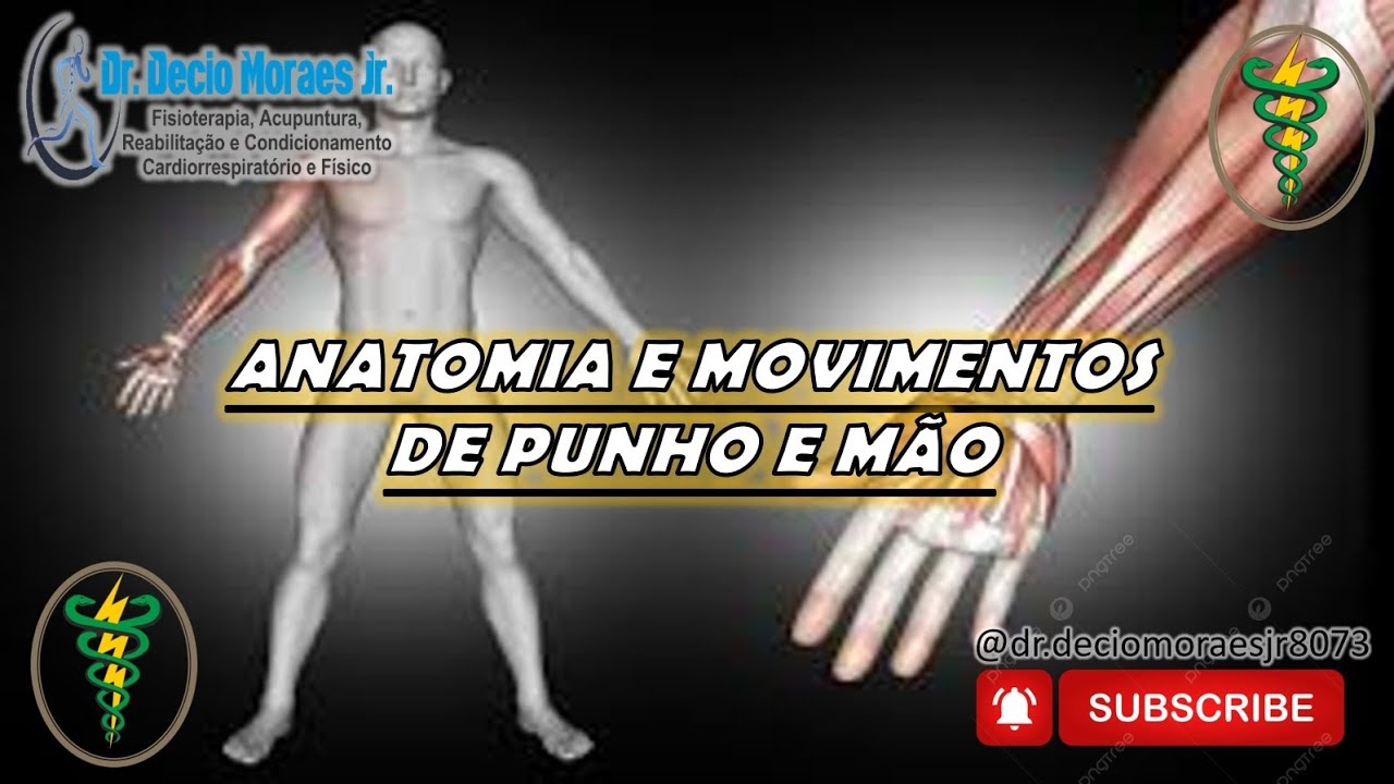 # Anatomia e Movimentos de Punho e Mão - Série trabalhos dos meus alunos - 15.01.2026