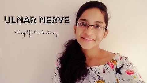 ULNAR NERVE | ANATOMY | SIMPLIFIED ✔