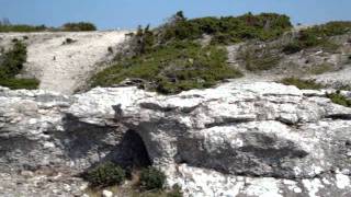 Rocks of Faro - near Gotland, Sweden