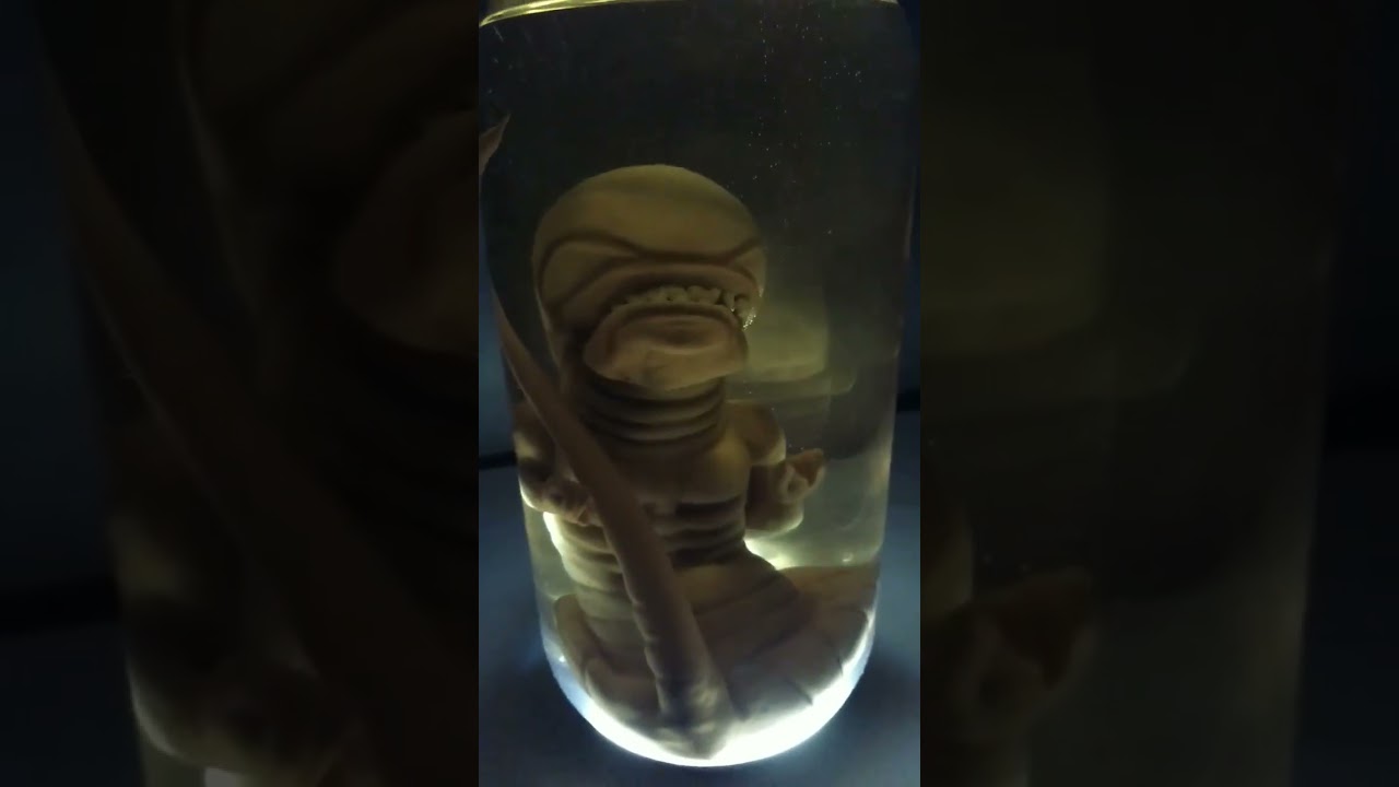 LUMINÁRIA DE MESA ARTESANAL ESCULTURA ALIEN XENOMORFO LARVA CULTURA GEEK  FILME 