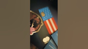 This Runescape private server is what I need to survive #osrs #runescape #fyp #gaming