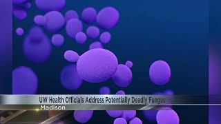 UW Health officials address potentially deadly fungus