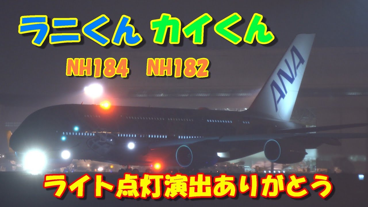 フライングホヌ、雨夜に灯る感動の点滅演出にありがとう】2025.10.14