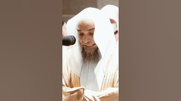 تلاوة مرئية سورة الصافات الآيات من  ١٤٩ إلى ١٥٧ الشيخ فيصل غزاوي