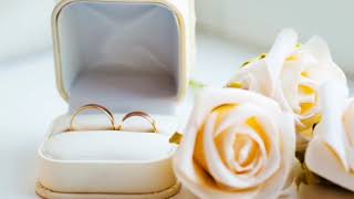 Two Wedding Rings In A Box   Free HD Video Clips & Stock Video Footage at Video Effects