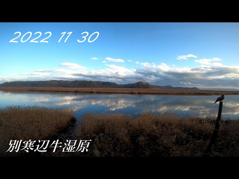20221130　根室⇨釧路でサイハテを満喫してきた【納沙布・春国岱・花咲線】