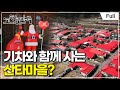 [Full] 고향민국 - 봉화, 백두대간은 살아있다