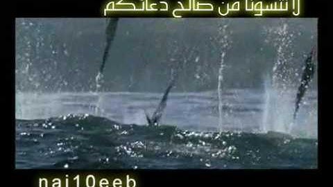 أواخر سورة الحشر بصوت رائع The end of Surat Al Hashr is wonderful voice