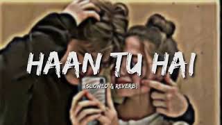 Haan Tu Hai(slowed+reverb) -kk,pritam| jannat| soul music 