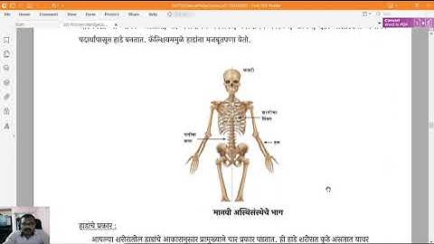 Bridge Course 7th Science Activity-10