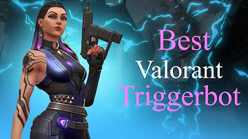 This TriggerBot Makes Valorant Look EASY (QuantumnX)