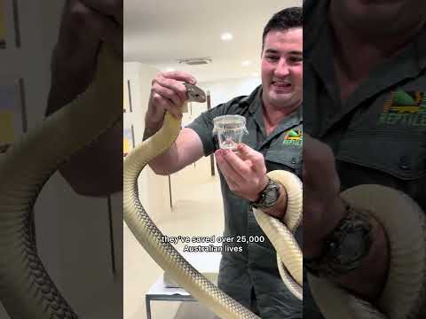 Thank you so much for the tour! @AustralianReptilePark 