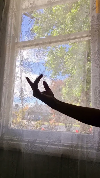 Piyu bole Piya bole..Hand Shadow dance..
