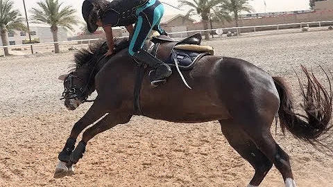 FAIL! 8 Year Old Girl Falls Off Pony