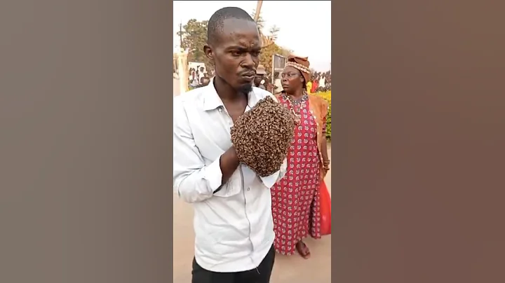 He Stole A Motorcycle And The Owner Met A Witch Doctor Who Sent Bees To Arrest Him - DayDayNews