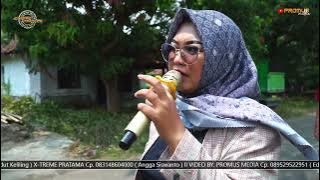 COLONG COLONGAN - VOC. DEVI MANUAL || D-LINK X-TREME PRATAMA DI DESA TEGALSEMBADRA BALONGAN IM