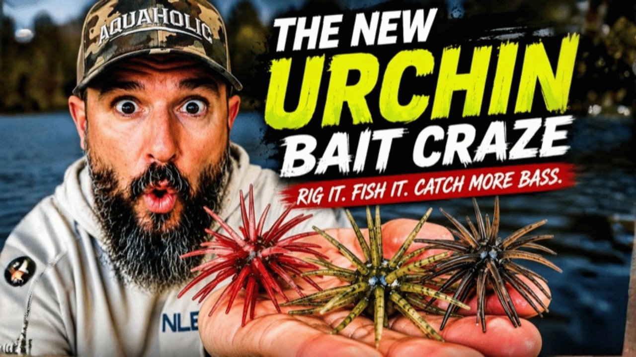 Fishing the MOST Popular Bait in BASS Fishing (Here's What I Learned)