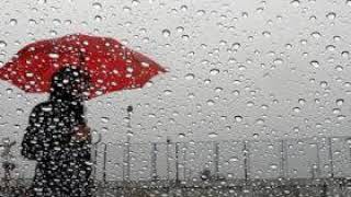 Rain sounds for sleeping with Thunder !! 30 minutes of relaxation #withme