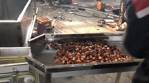 Hello River Brand Dates Sorting Machine Longan Grading Machine Fruit Sorting Machine