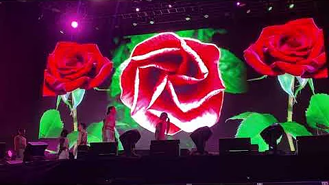 Kali Uchis - I Wish You Roses / Lollapalooza Chile / Santiago, Chile