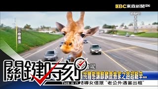 關鍵時刻 20160810 節目播出版(有字幕)