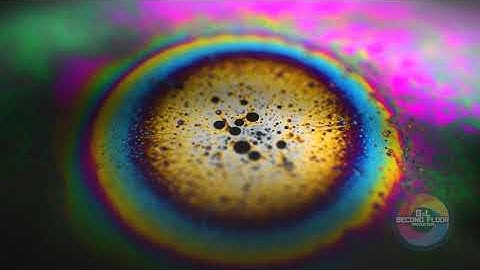 Soap Bubble Macro Video