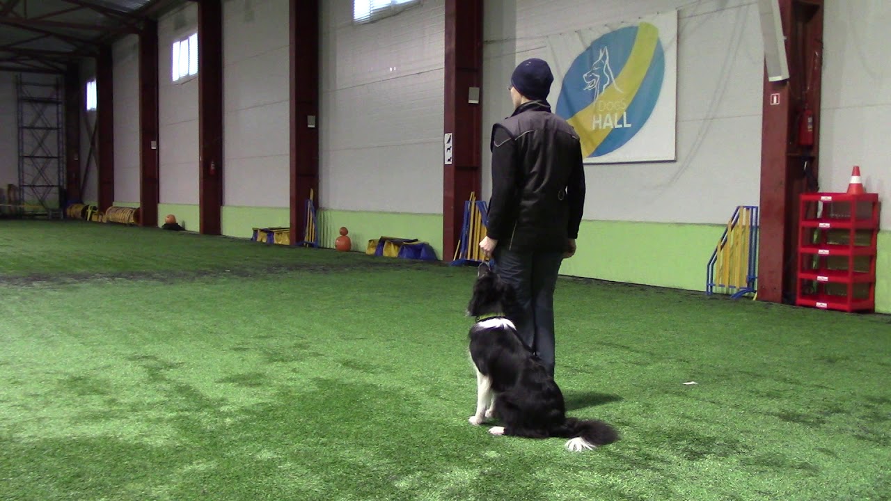 Глава 3 тренировочные