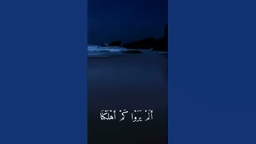 ياحسرة على العباد | شريف مصطفى | القرآن الكريم