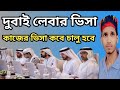 দুবাই লেবার ভিসা এবং কাজের ভিসা কবে চালু হবে। আজকের খবর Dubai Visa news today