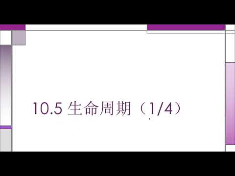 Rust 入门教程  10.5  生命周期（1）