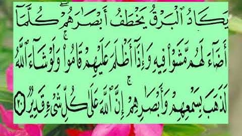 سورة البقرة آية ٢٠ جمال القرش
