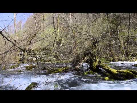 Video: Gdje je kamenolom kraške rijeke?