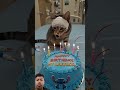 #cat #cake #cute #kitten #happybirthday #funny #aiandcats #aicats #animalintelligence #o
